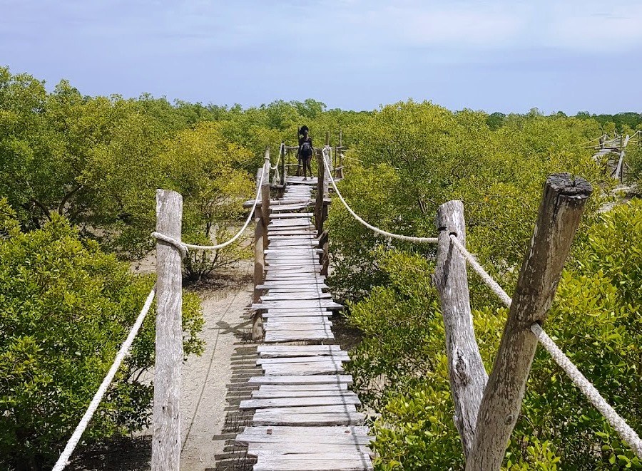 Mida Creek Nature Camp（水系 / 湖泊 / 海岸）-非行家旅行-Africa Wild Wander
