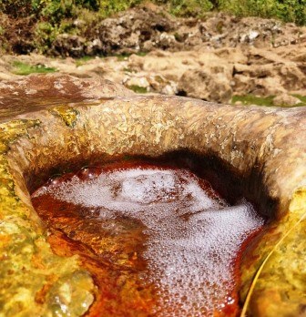 Tharu Springs（地貌 / 瀑布 / 泉水）-非行家旅行-Africa Wild Wander