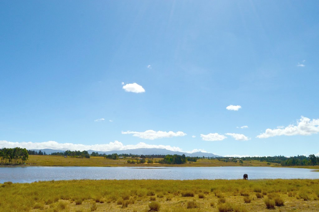 Kinangop Plateau（金南戈普高原）-非行家旅行-Africa Wild Wander
