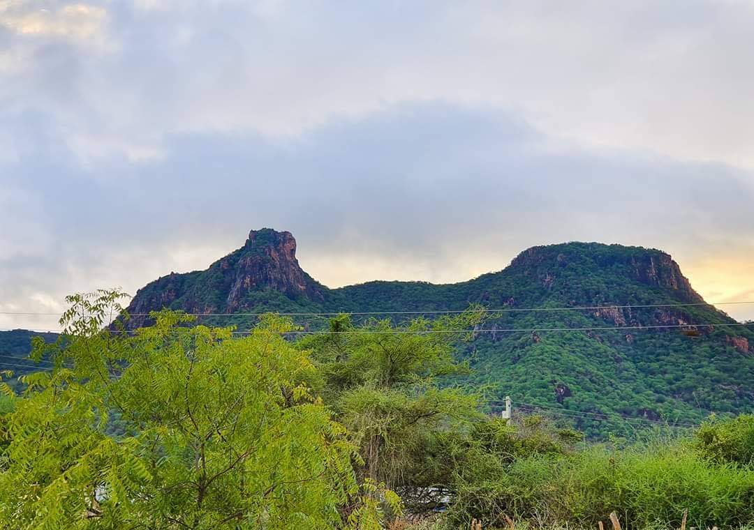 Malabar Hill（自然景观 / 徒步）-非行家旅行-Africa Wild Wander