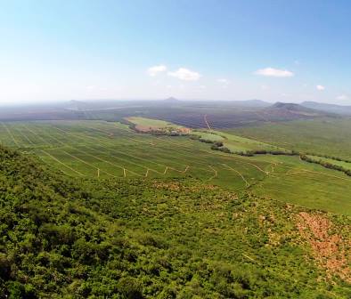 Teita Sisal Estate（农业 / 庄园）-非行家旅行-Africa Wild Wander