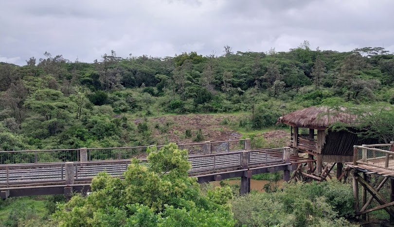 Nature Parks（自然地貌 / 户外）-非行家旅行-Africa Wild Wander