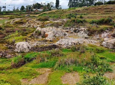 Tharu Springs（地貌 / 瀑布 / 泉水）-非行家旅行-Africa Wild Wander