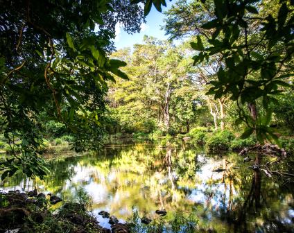 Kibwezi Forest（基布韦齐森林）-非行家旅行-Africa Wild Wander