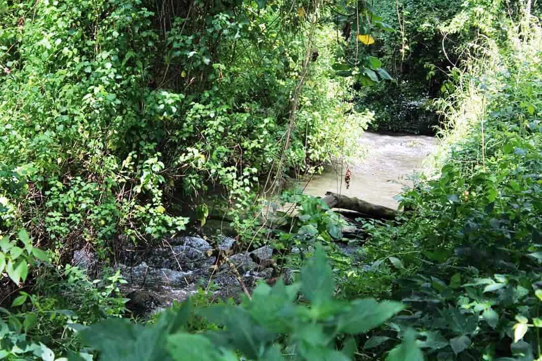Kapolet Fishing Camp（卡波莱特钓鱼营地）-非行家旅行-Africa Wild Wander