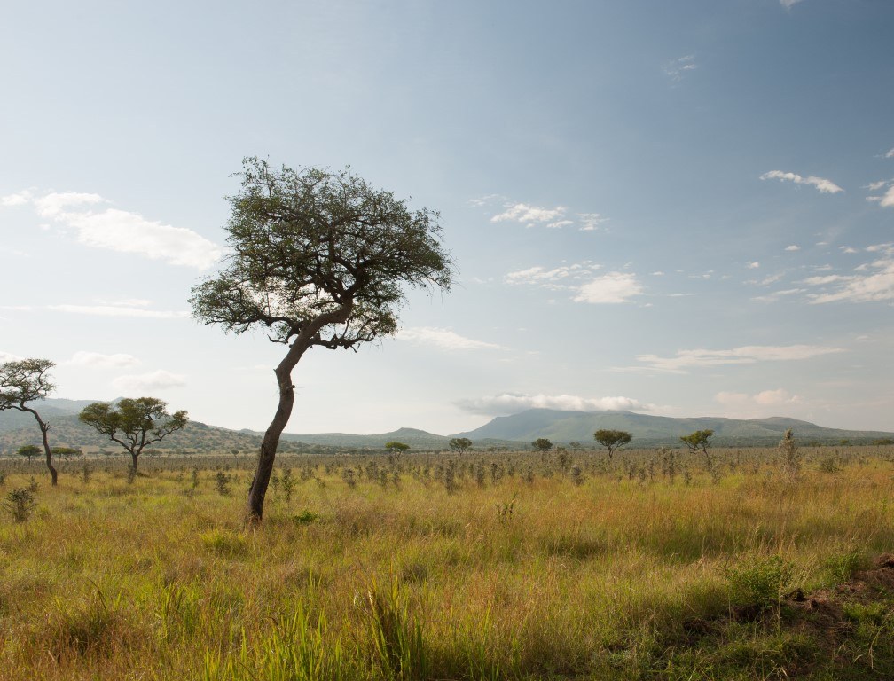 Lambwe Valley（水系 / 湖泊 / 海岸）-非行家旅行-Africa Wild Wander