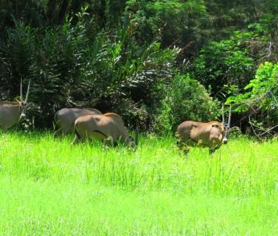 Butterfly Pavillion（生态公园 / 海洋保护）-非行家旅行-Africa Wild Wander