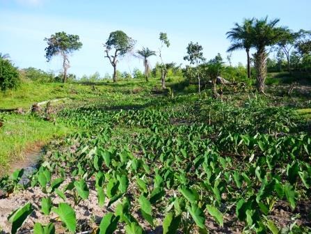 Shimba Hills Farm(保护区 / 野生动物)-非行家旅行-Africa Wild Wander