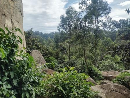 Ikhongo Murwi / Crying Stone(哭石)-非行家旅行-Africa Wild Wander