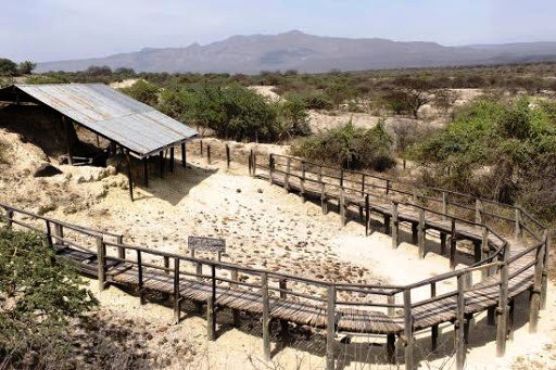 Archaeology in Kenya（历史遗产 / 博物馆）-非行家旅行-Africa Wild Wander