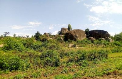 Kabuchai Hills（自然景观 / 徒步）-非行家旅行-Africa Wild Wander