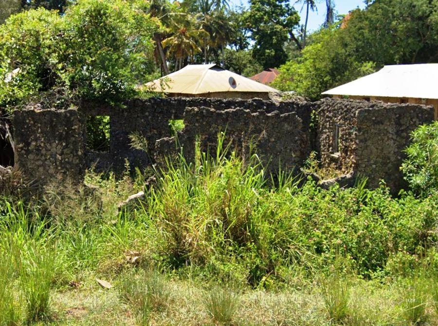 Pongwe Ruins（斯瓦希里遗产 / 文化景观）-非行家旅行-Africa Wild Wander