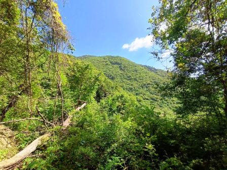 Kijegge Range（基杰格山脉）-非行家旅行-Africa Wild Wander