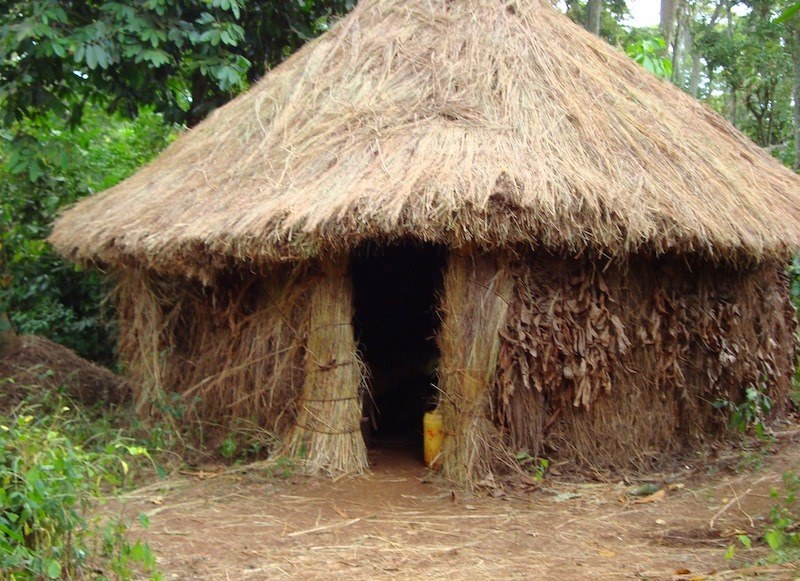 Giitune Forest(森林 / 水源地)-非行家旅行-Africa Wild Wander