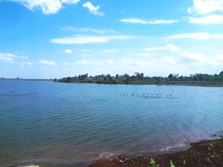 Thiba Dam（蒂巴大坝）-非行家旅行-Africa Wild Wander