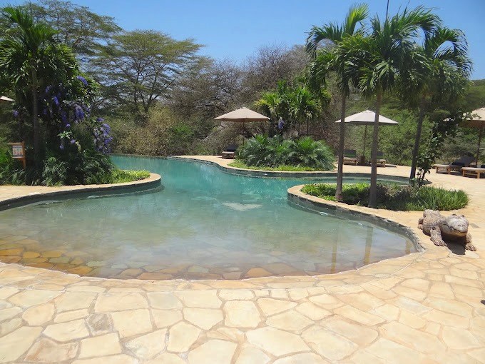 Finch Hattons Camp（Tsavo West / 火山与泉水）-非行家旅行-Africa Wild Wander