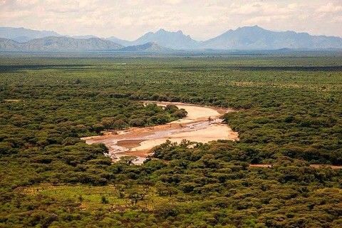 About East Africa（县域概览）-非行家旅行-Africa Wild Wander