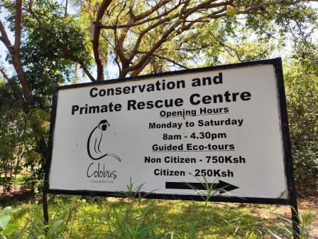 Colobus Conservation(迪亚尼疣猴保护中心)-非行家旅行-Africa Wild Wander