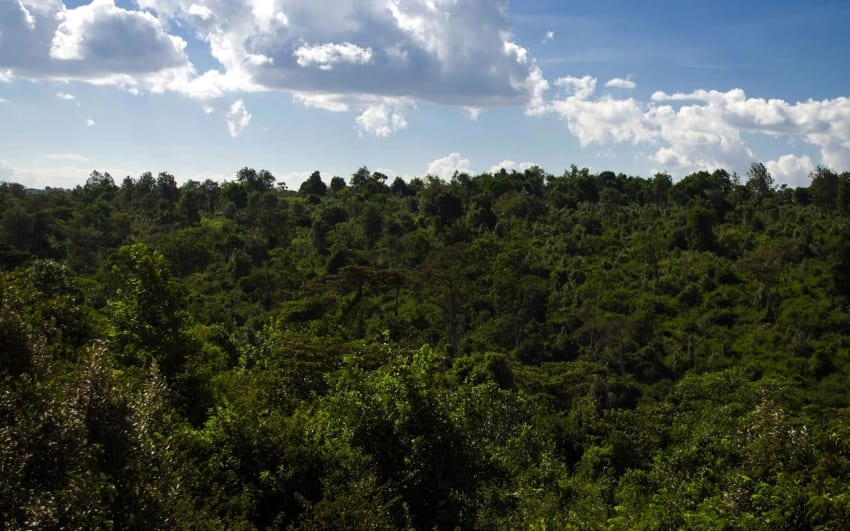 Bomet County（博美特县）-非行家旅行-Africa Wild Wander