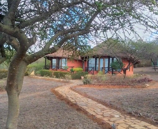 Amazing Kenya Retreat（住宿休闲 / 周末度假）-非行家旅行-Africa Wild Wander