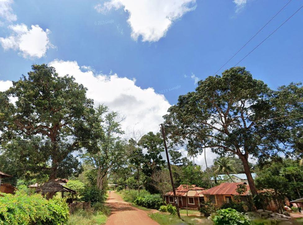 Thomas Wakefield Church(历史遗产 / 博物馆)-非行家旅行-Africa Wild Wander