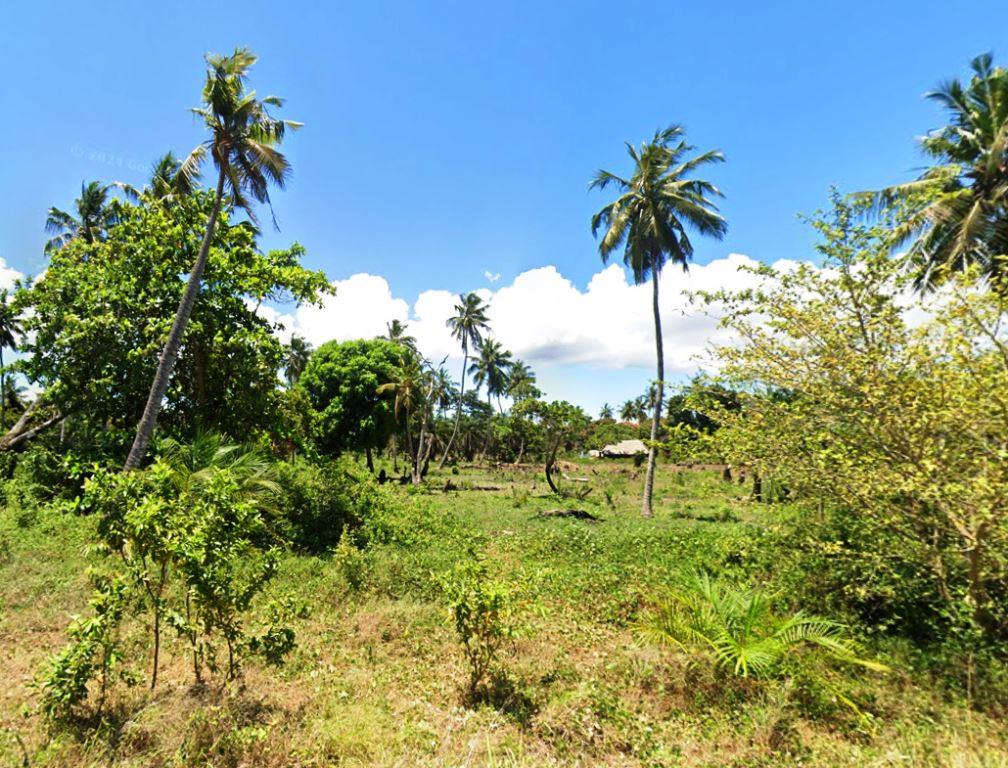 Hurumuzi Ruins（斯瓦希里遗产 / 文化景观）-非行家旅行-Africa Wild Wander