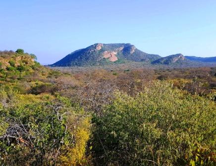 Mbulia Conservancy（保护地 / 私营保护区）-非行家旅行-Africa Wild Wander