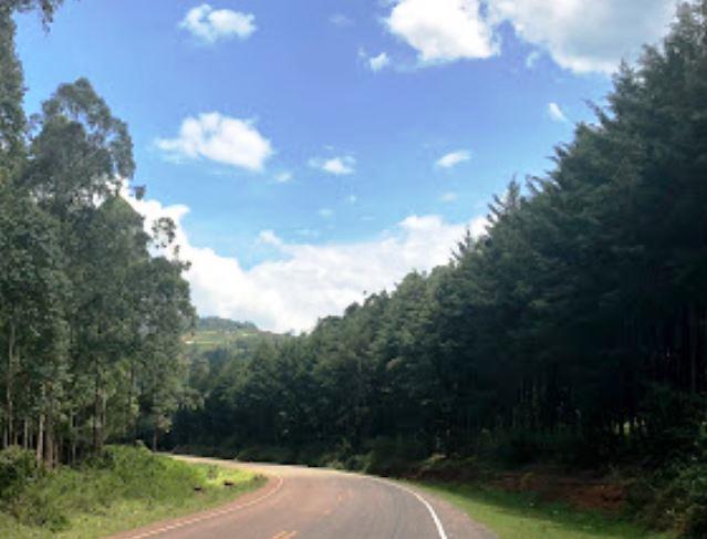 Nyamarambe Falls（水系 / 湖泊 / 海岸）-非行家旅行-Africa Wild Wander