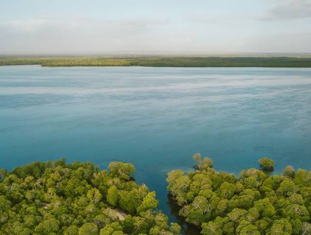 Mida Creek（水系 / 湖泊 / 海岸）-非行家旅行-Africa Wild Wander