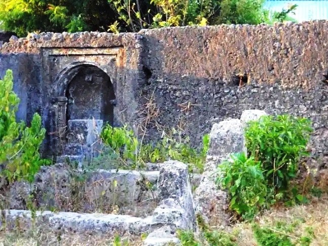Wasini Ruins（海洋保护 / 海岛体验）-非行家旅行-Africa Wild Wander