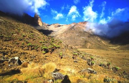 Kamweti Route（卡姆韦蒂登山线）-非行家旅行-Africa Wild Wander