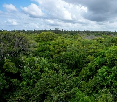 Dodori National Reserve（多多里国家保护区）-非行家旅行-Africa Wild Wander