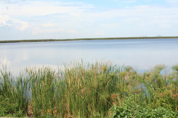 Siaya County（县域概览）-非行家旅行-Africa Wild Wander