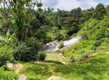 Anabas Resort Grill（住宿休闲 / 城市服务）-非行家旅行-Africa Wild Wander