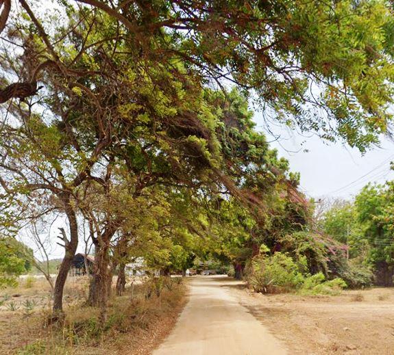 Kilifi Plantations（县域目的地 / 专题资料）-非行家旅行-Africa Wild Wander