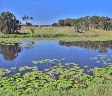 Nguuni Nature Sanctuary(生态公园 / 海洋保护)-非行家旅行-Africa Wild Wander