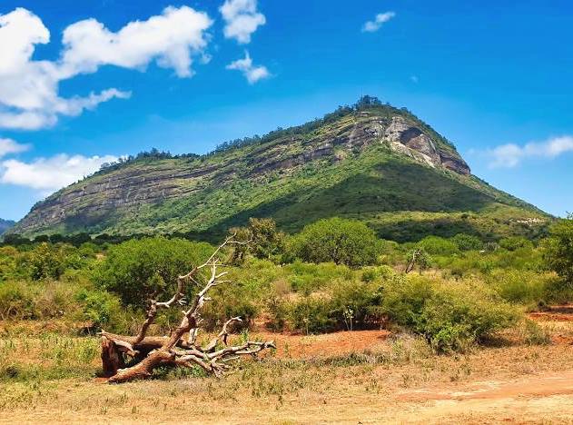 Taita Hills（泰塔山）-非行家旅行-Africa Wild Wander