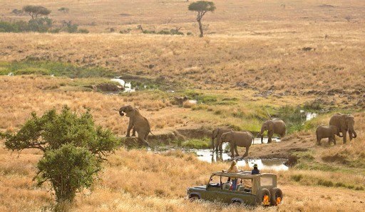 肯尼亚 Safari 传统与旅游遗产-非行家旅行-Africa Wild Wander