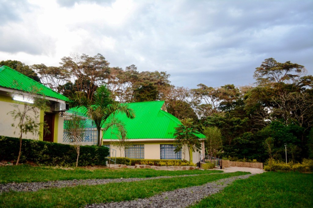 Magnum Resort（马格南度假村）-非行家旅行-Africa Wild Wander