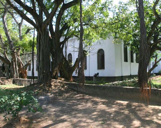 Old Law Courts（遗产 / 宗教 / 历史专题）-非行家旅行-Africa Wild Wander