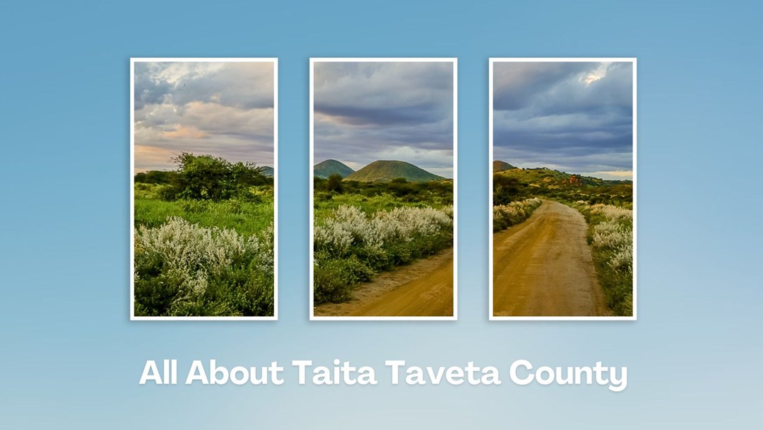 Taita Taveta County（泰塔塔韦塔县）-非行家旅行-Africa Wild Wander