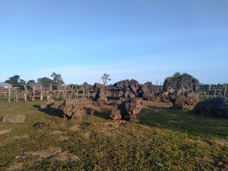 Wasini Island Boardwalk（瓦西尼岛红树林与珊瑚花园栈道）-非行家旅行-Africa Wild Wander