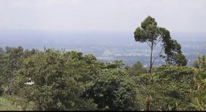 Chetambe Fort（历史遗产 / 博物馆）-非行家旅行-Africa Wild Wander