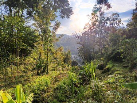 Kilangarenyi Falls（Taita Hills / 高地文化）-非行家旅行-Africa Wild Wander