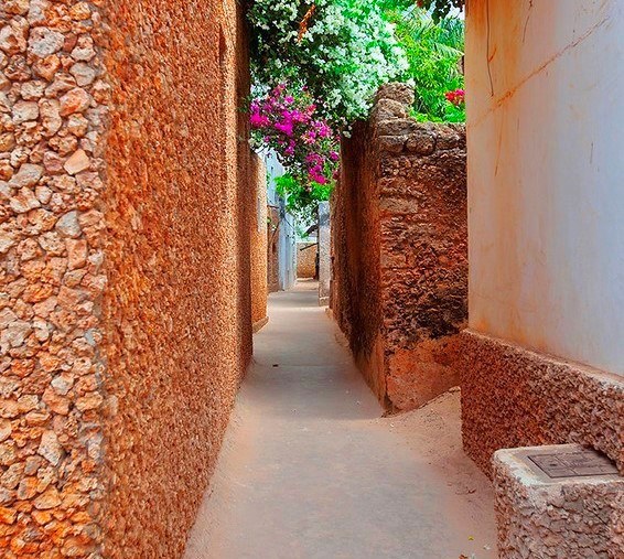 Shela Village(谢拉村)-非行家旅行-Africa Wild Wander