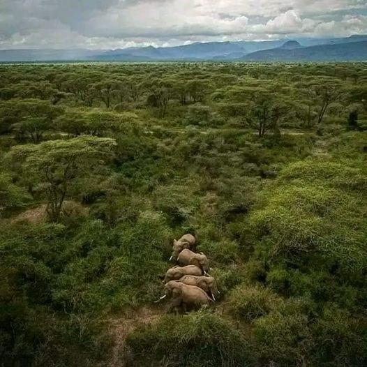 Rimoi National Reserve（水系 / 湖泊 / 海岸）-非行家旅行-Africa Wild Wander