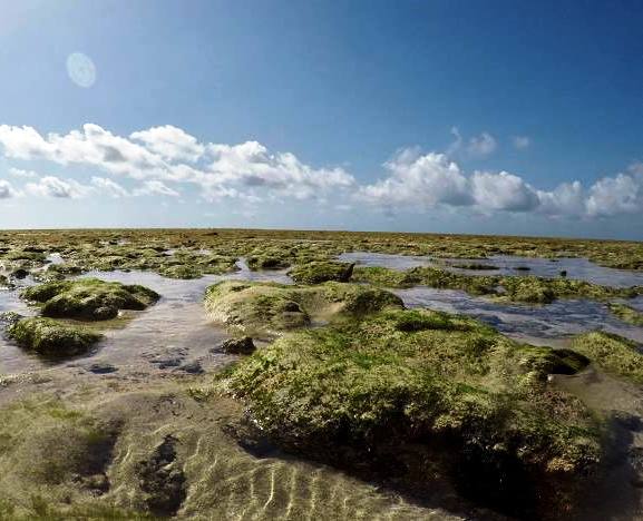 Malindi Marine Park（历史遗产 / 博物馆）-非行家旅行-Africa Wild Wander