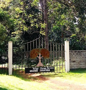 Irangi Forest Station（自然景观 / 徒步）-非行家旅行-Africa Wild Wander