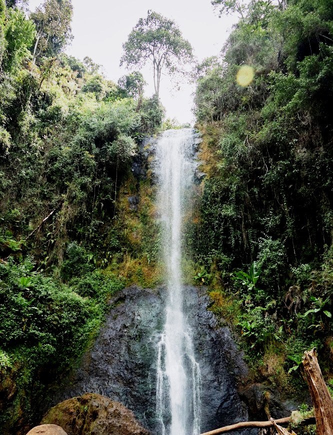 Kimakia Falls（Aberdare 森林 / 徒步）-非行家旅行-Africa Wild Wander