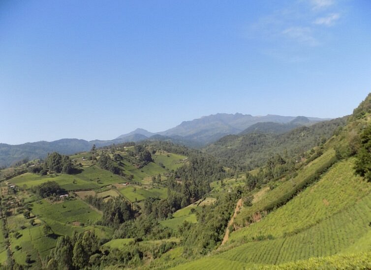Murang'a County（穆兰加县）-非行家旅行-Africa Wild Wander